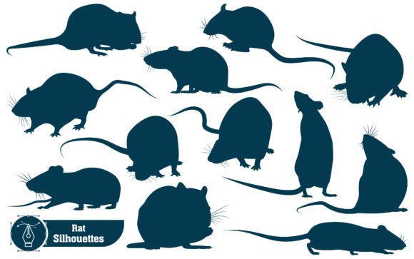 Animal Rat Silhouettes Vector: A Designer's Guide