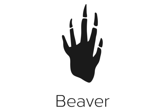 Black Beaver Footprint: Unpacking a Wild Design Asset