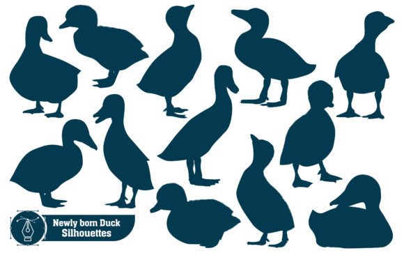 Farm Animal Newly Born Duck Silhouette: A Fresh Take on Whimsical Design