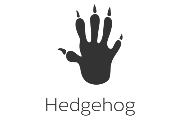 Hedgehog Footprint: A Wild Animal Trace for Bold Branding
