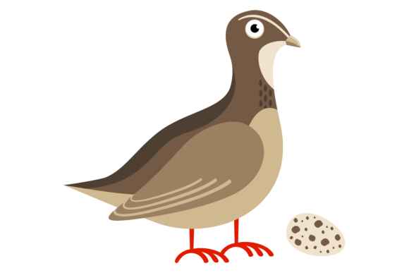 Meet Quail Bird with Egg: A Cartoon Animal for Playful Branding