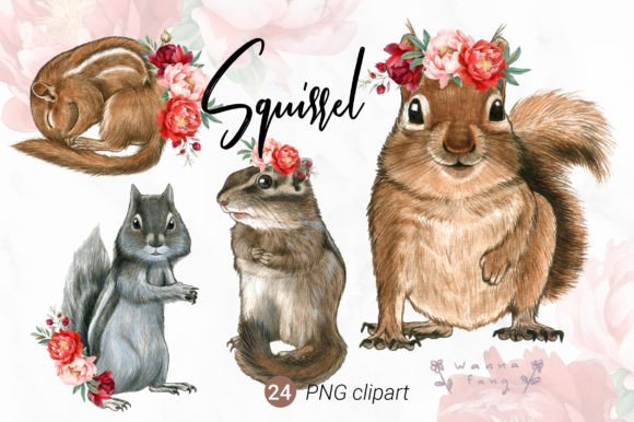 Squirrel Watercolor Animal Clipart, PNG: A Charming Collection for Designers