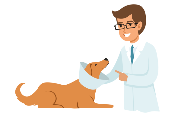 Veterinarian Treat Dog: A Design Asset for Pet-Centric Brands
